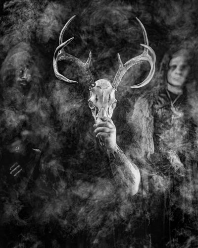 WOLVES IN THE THRONE ROOM